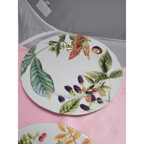 Set Of 4 Spode Williams Sonoma Woodland Harvest 9" Dessert Salad Luncheon Plates - Picture 2 of 10